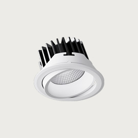 EQ Tilt Downlight